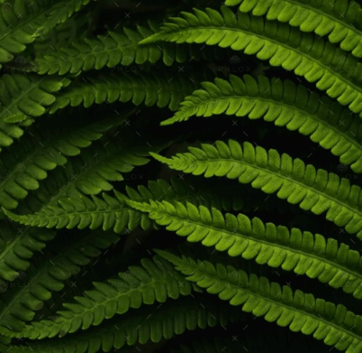 demo-attachment-560-daniel-mirlea-fxiAxNLpoqI-unsplash@2x
